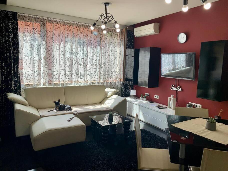 Lovely Sofia Apartment Katerina With Free Parking Εξωτερικό φωτογραφία